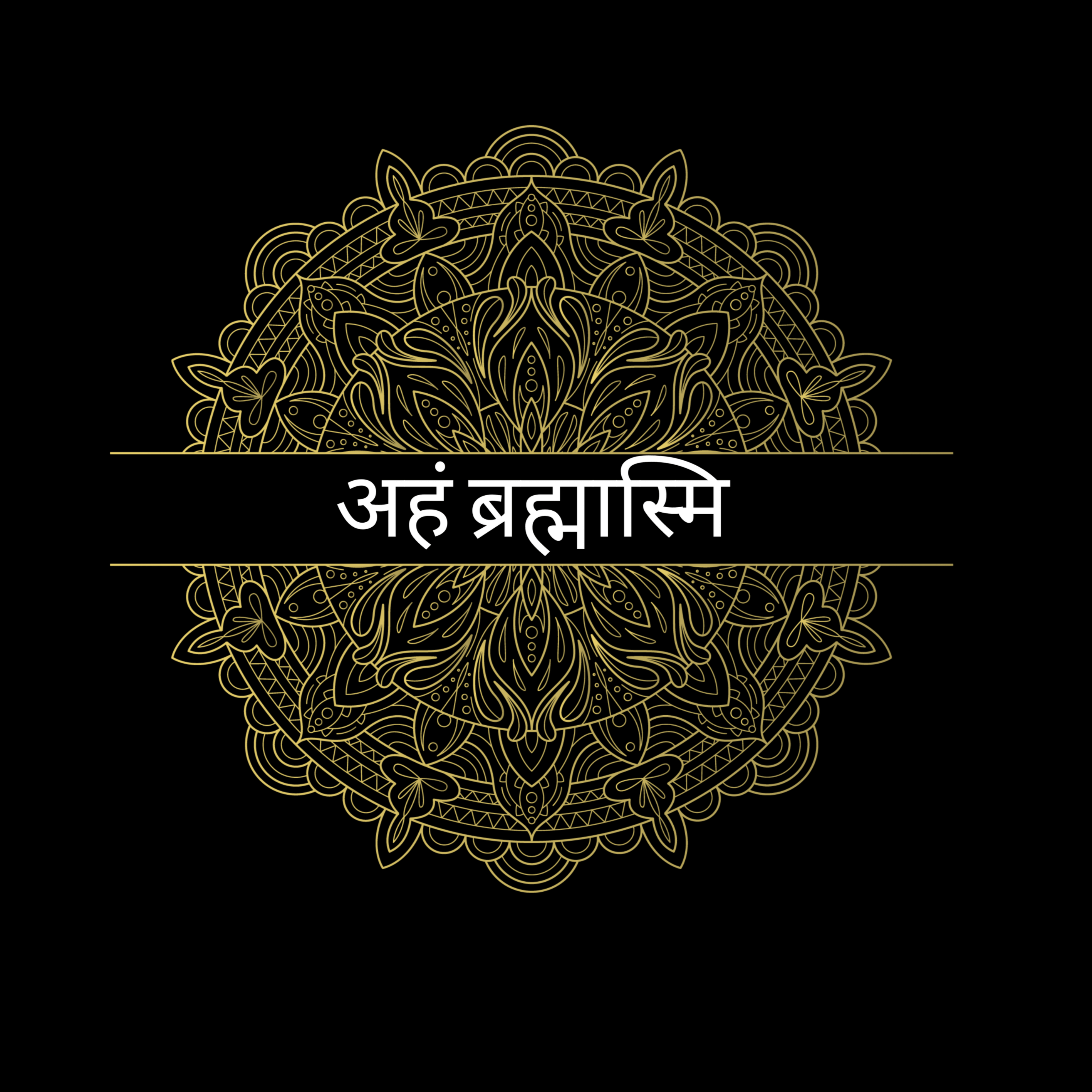 Aham Brahmasmi Hoodie - Ken Adams