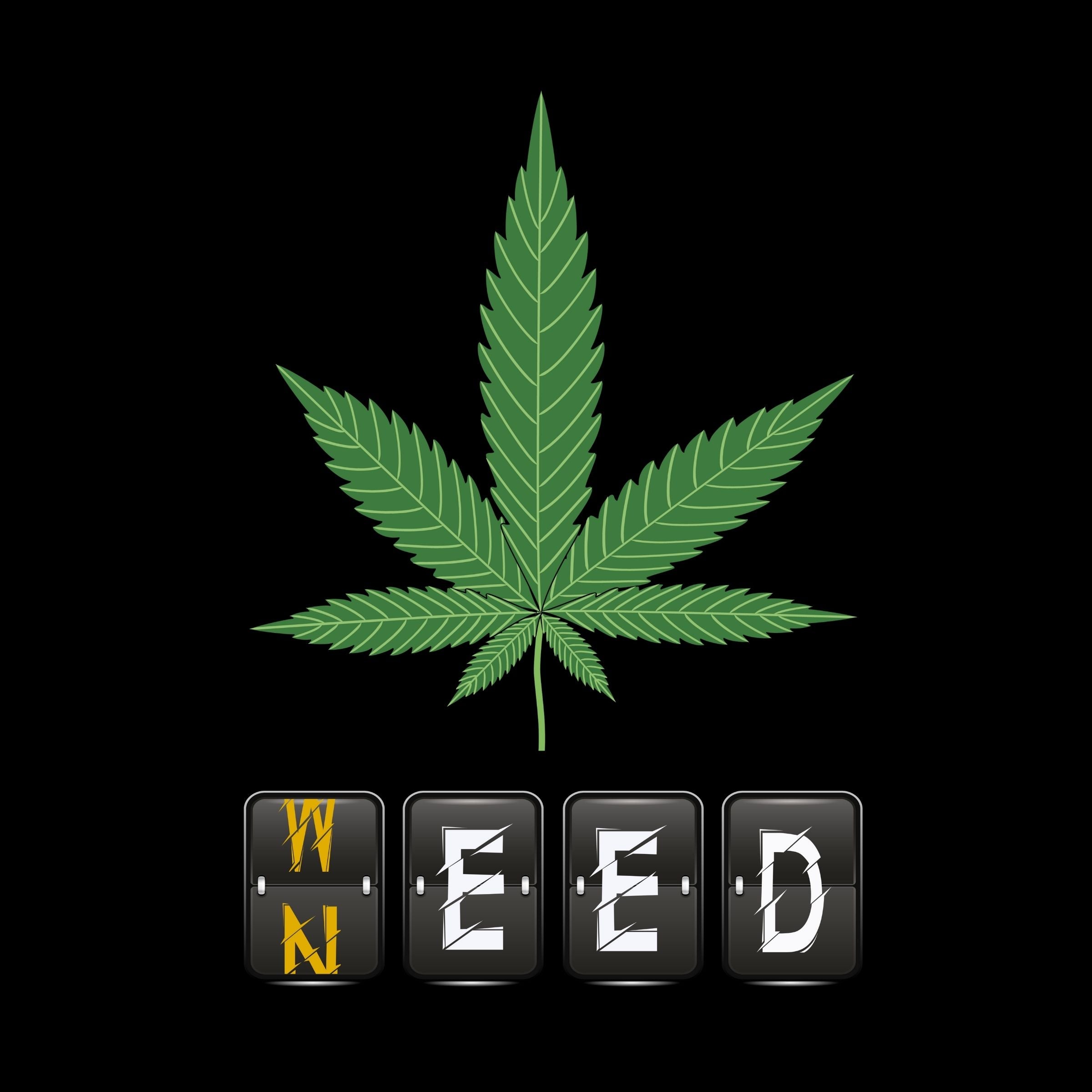 Marijuana Leaf Hoodie - Ken Adams
