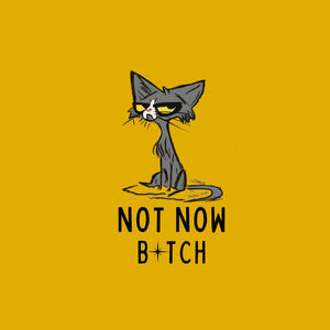 Not Now B*tch Women's T-shirt - Ken Adams