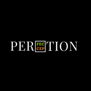 Perfection Women's T-shirt - Ken Adams