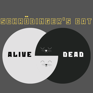 Schrödinger's Cat - Ken Adams