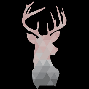 Stag Hoodie - Ken Adams