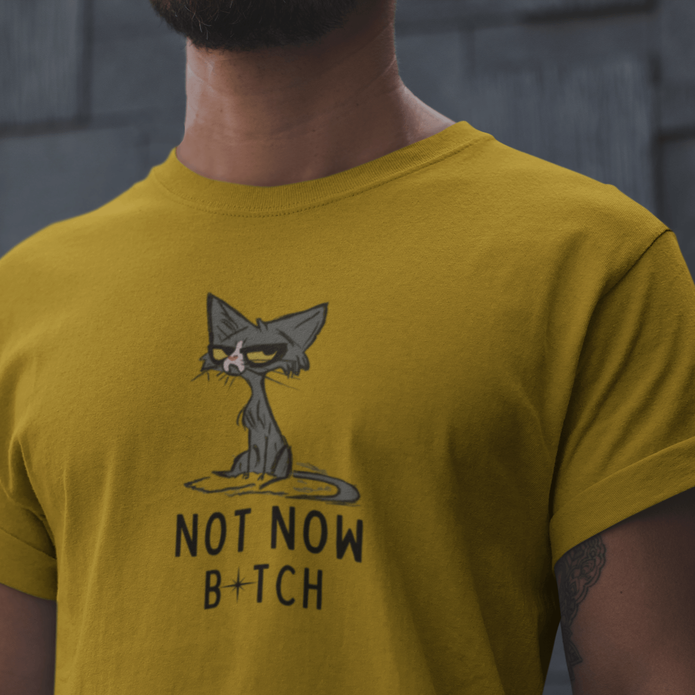 Not Now B*tch - Ken Adams